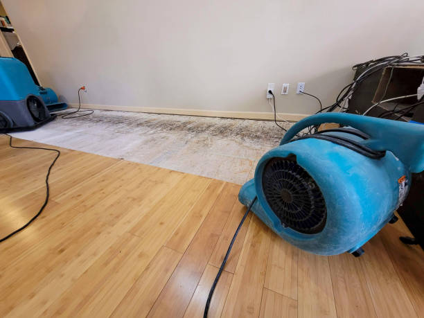 Professional Flood Damage Cleanup technician working in McMechen, WV